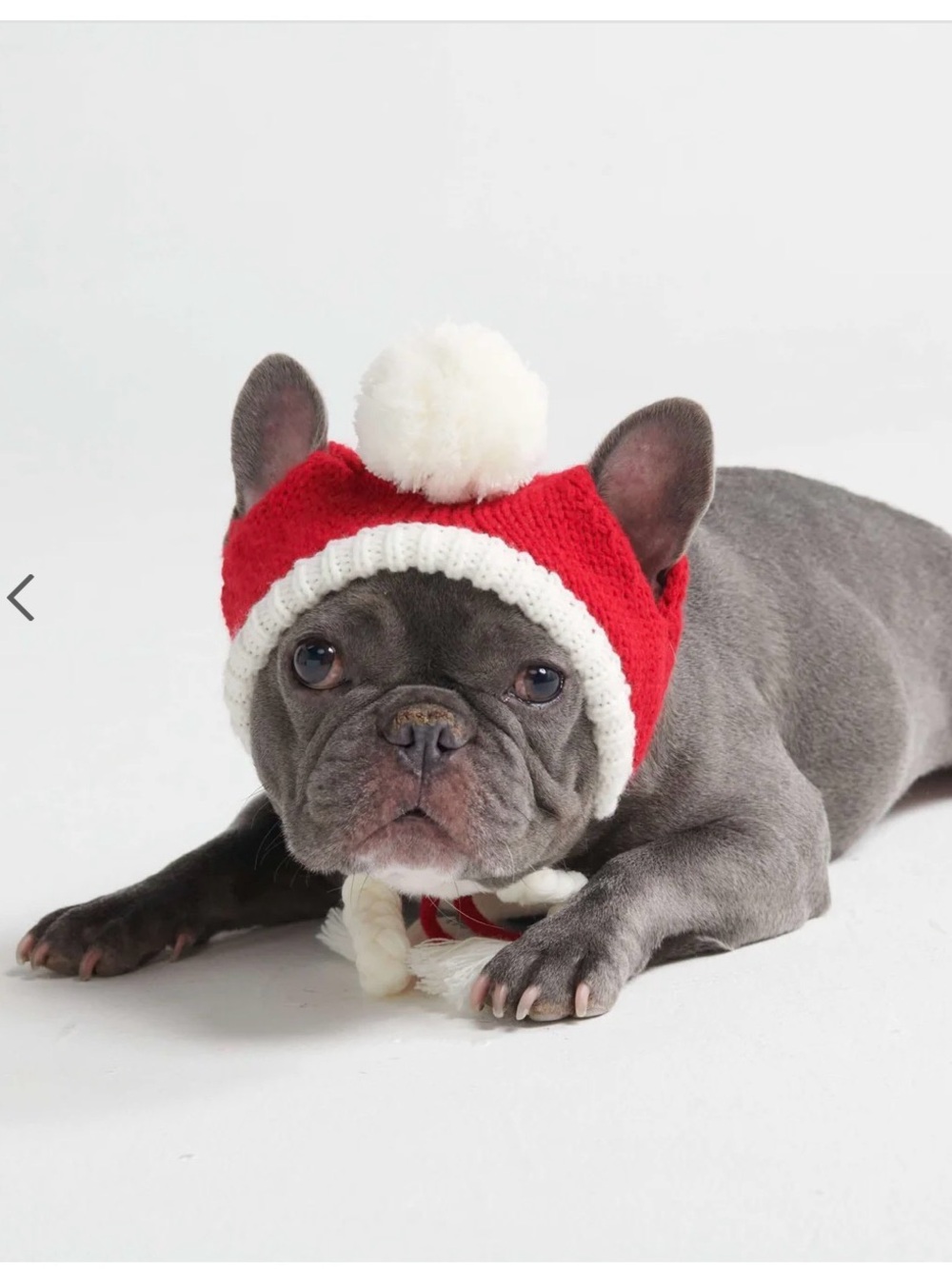 2 for $15 sale: NEW Spark paws Red and White dog Pom Pom Santa Hat with Braids -